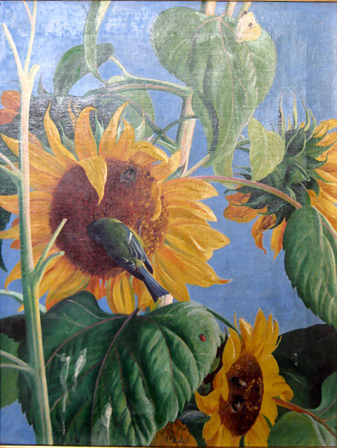G_Sonnenblume_21