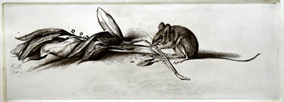 Richard M&uuml;ller
(1874-1954),Mouse and laurel,Laurel, gained during lifteime becomes mousefood after death