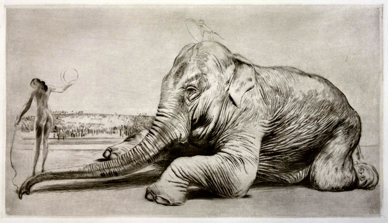 Richard M&uuml;ller (1874-1954),Die Beherrschung beh&auml;biger Macht durch die Frau faszinert
M&uuml;ller immer wieder,M&uuml;ller is always fascinated by tender females ruling powerful
creatures